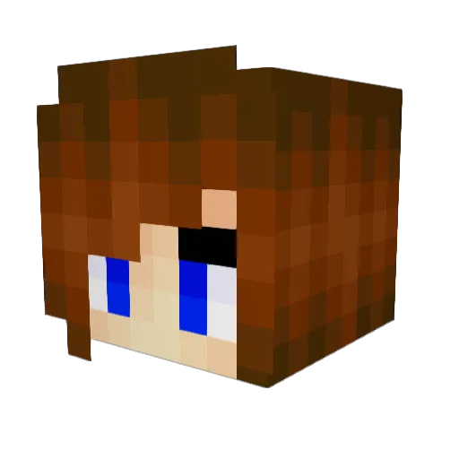 PinkAvocados Minecraft avatar head, 3D render