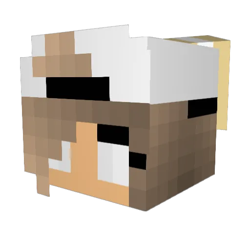 PinkCactus07 Minecraft avatar head, 3D render