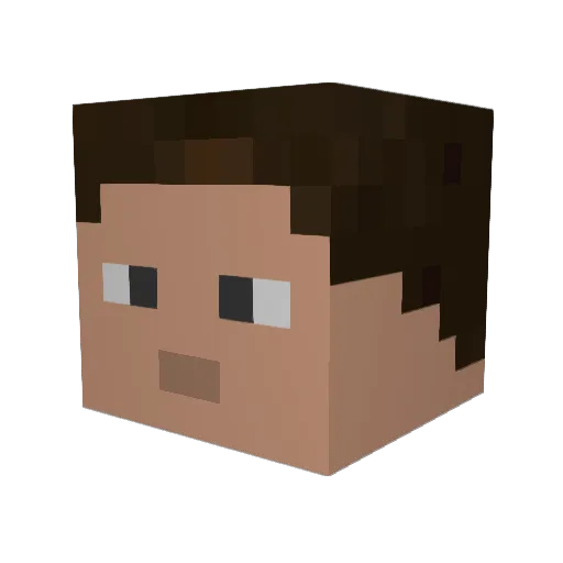 PinkCarebear Minecraft avatar head, 3D render