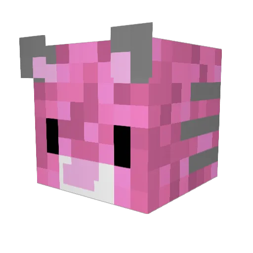 PinkCatHolly Minecraft avatar head, 3D render