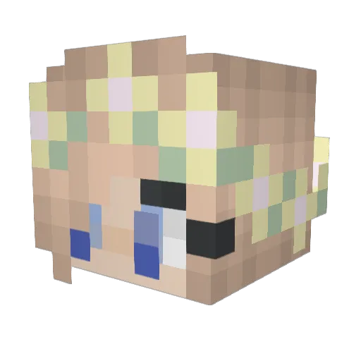 PinkDiamond5643 Minecraft avatar head, 3D render