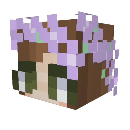 PinkDivas11 Minecraft avatar head, 3D render