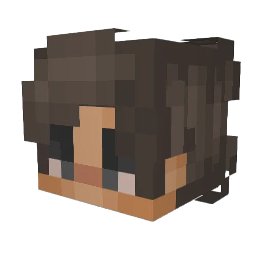 PinkDragon2015 Minecraft avatar head, 3D render