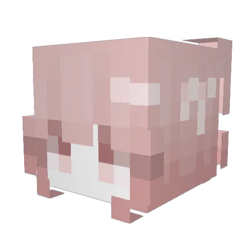 PinkDynasore Minecraft avatar head, 3D render