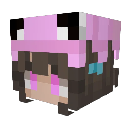 PinkFantaSquid Minecraft avatar head, 3D render