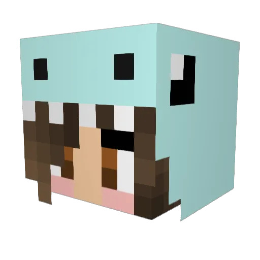 PinkHurricane Minecraft avatar head, 3D render