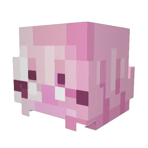 PinkKitten07 Minecraft avatar head, 3D render