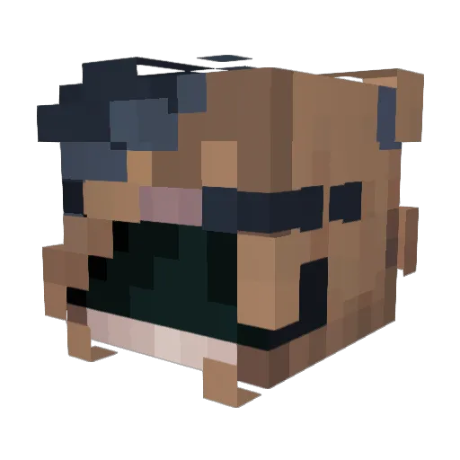 PinkLightMage Minecraft avatar head, 3D render