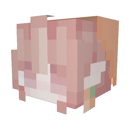 PinkLikeRoses Minecraft avatar head, 3D render