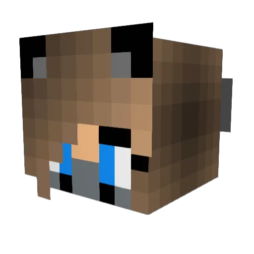 PinkNarwhals23 Minecraft avatar head, 3D render
