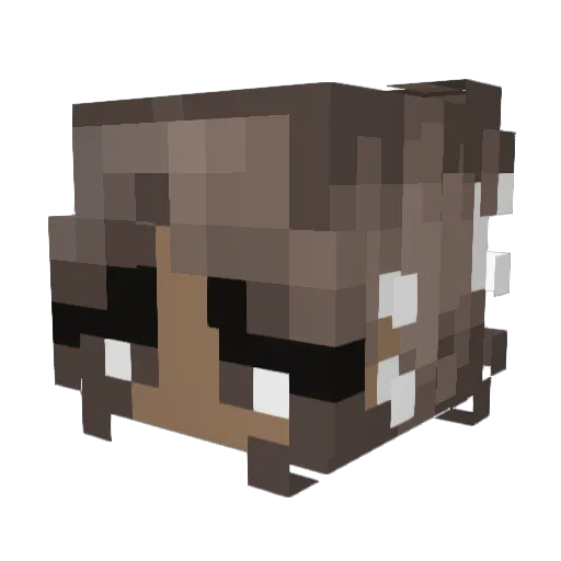 PinkNinjaCat Minecraft avatar head, 3D render