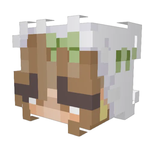 PinkParrotz Minecraft avatar head, 3D render