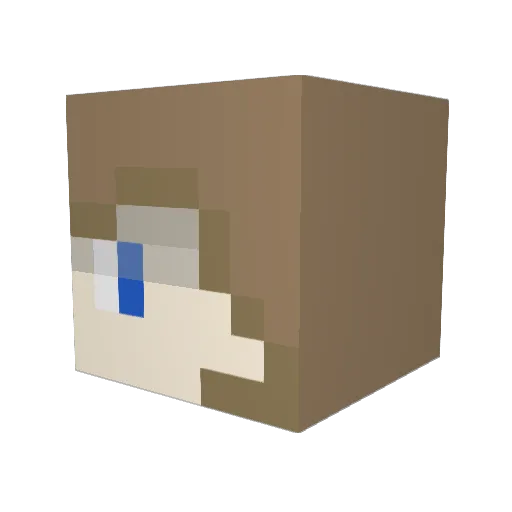 PinkPeony11 Minecraft avatar head, 3D render
