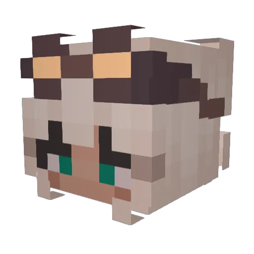 PinkPinkins Minecraft avatar head, 3D render