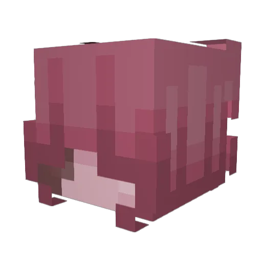 PinkPixie_ Minecraft avatar head, 3D render