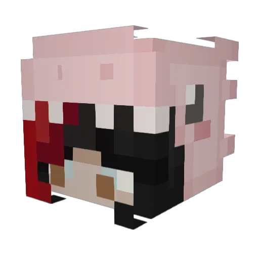 PinkPlushie3 Minecraft avatar head, 3D render