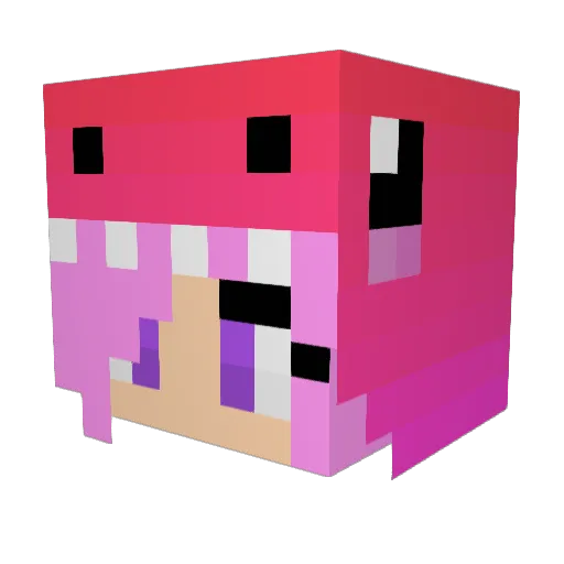 PinkPony92908 Minecraft avatar head, 3D render