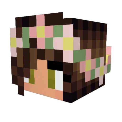 PinkPrincesa01 Minecraft avatar head, 3D render