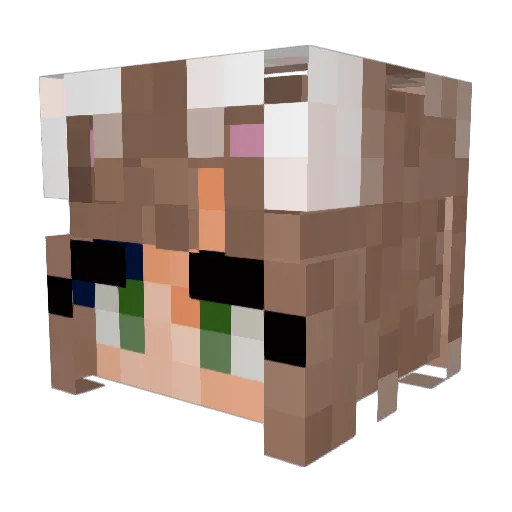 PinkPwrRanger55 Minecraft avatar head, 3D render