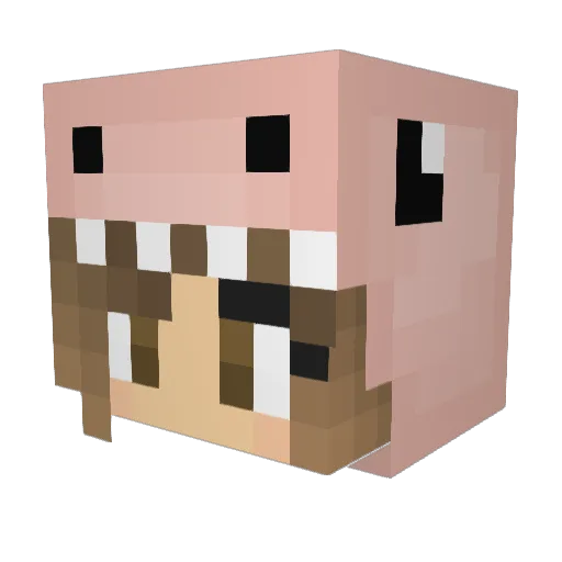 PinkSheep96 Minecraft avatar head, 3D render