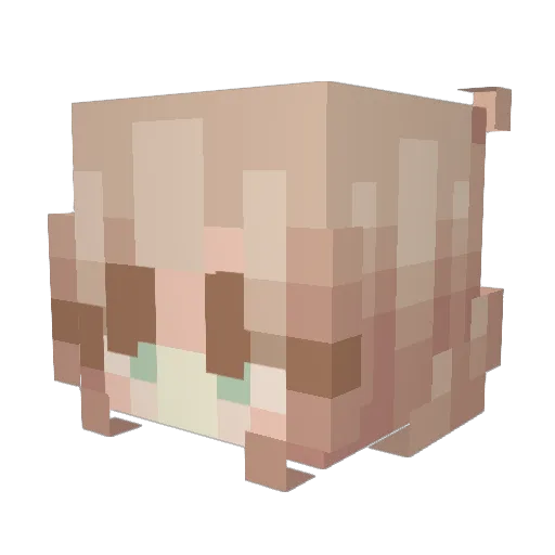 PinkShyGuy1 Minecraft avatar head, 3D render