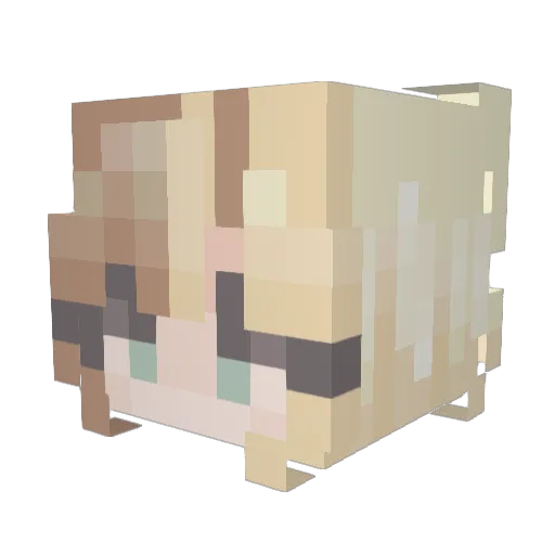 PinkSparkles7227 Minecraft avatar head, 3D render