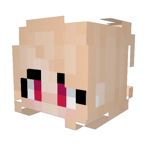 PinkStarlet Minecraft avatar head, 3D render