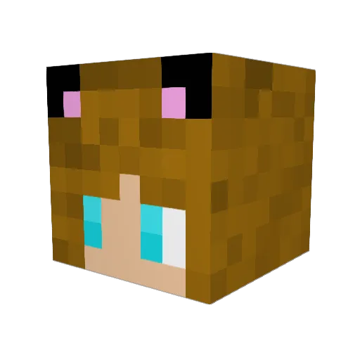 PinkStormShadow Minecraft avatar head, 3D render