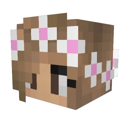 PinkTulipz Minecraft avatar head, 3D render