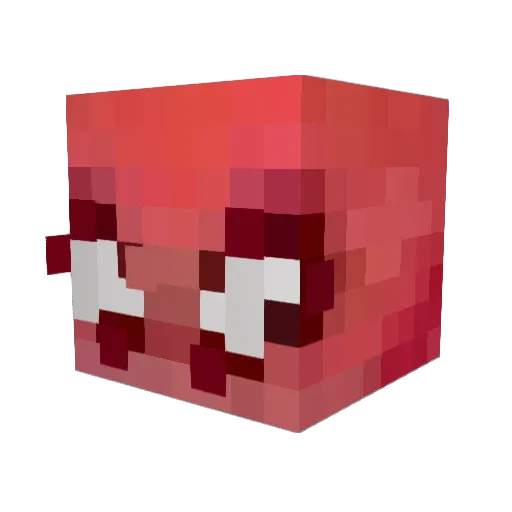 PinkUnicorn0712 Minecraft avatar head, 3D render