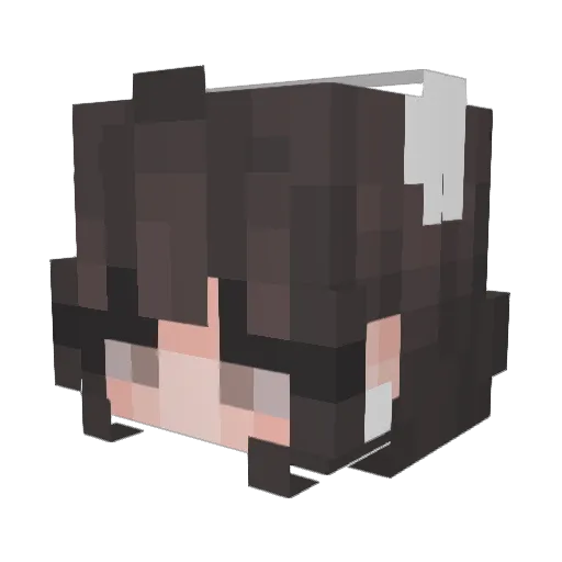 PinkWaferrr Minecraft avatar head, 3D render