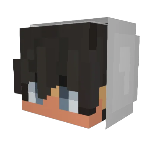 Pink_Beagle Minecraft avatar head, 3D render