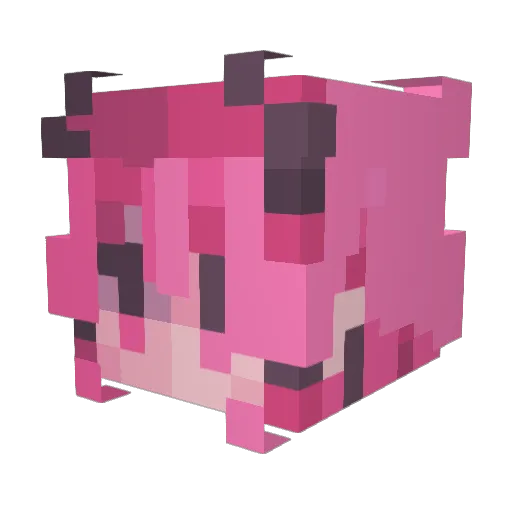 Pink_Chaos_ Minecraft avatar head, 3D render