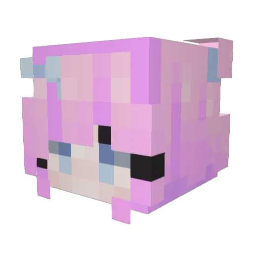 Pink_Creeper101 Minecraft avatar head, 3D render