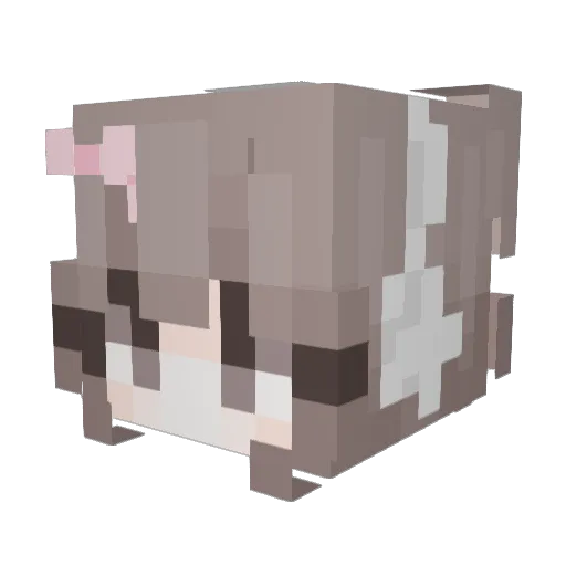 Pink_HS Minecraft avatar head, 3D render