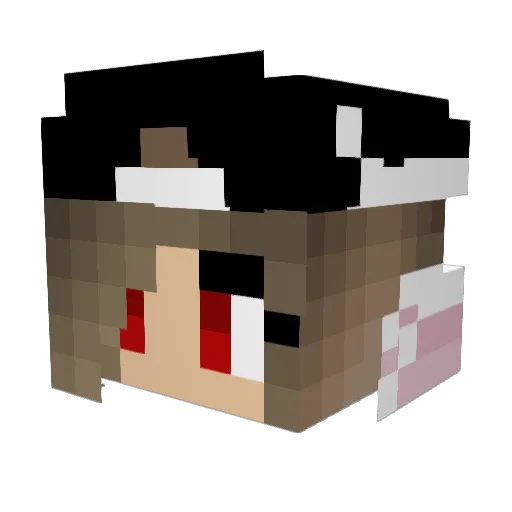 Pink_Roses_ Minecraft avatar head, 3D render