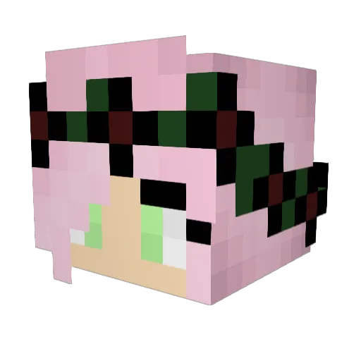 Pink_Tiger13 Minecraft avatar head, 3D render