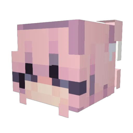 Pink_Unicorn98 Minecraft avatar head, 3D render