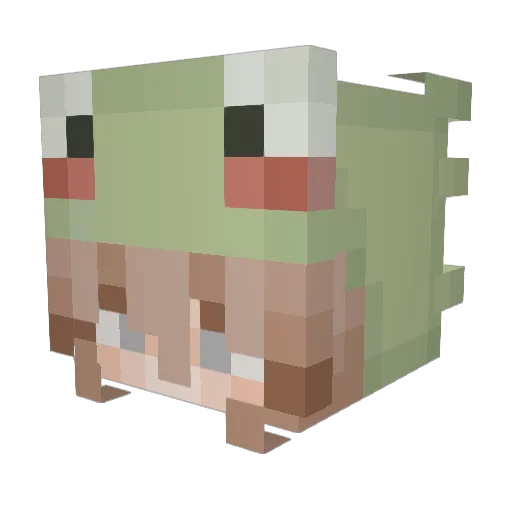 Pink_nichtmare Minecraft avatar head, 3D render