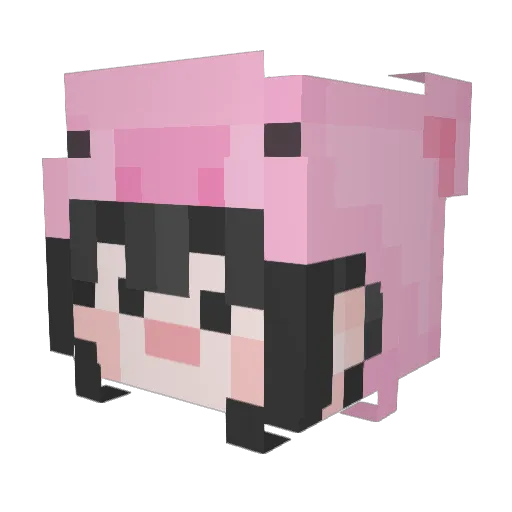 Pinkanne Minecraft avatar head, 3D render