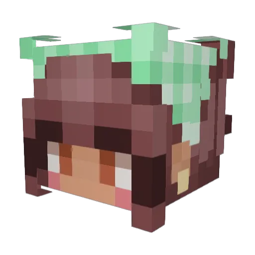 Pinkapplesauce77 Minecraft avatar head, 3D render