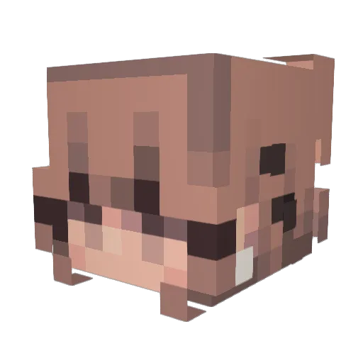 Pinkceci Minecraft avatar head, 3D render