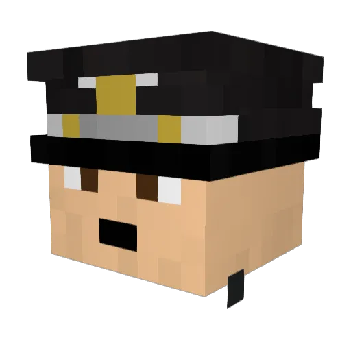Pinkflamingo45 Minecraft avatar head, 3D render