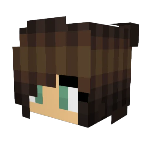 Pinkfrog5119 Minecraft avatar head, 3D render