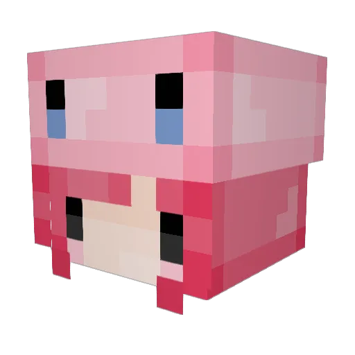 PinkiePie666 Minecraft avatar head, 3D render