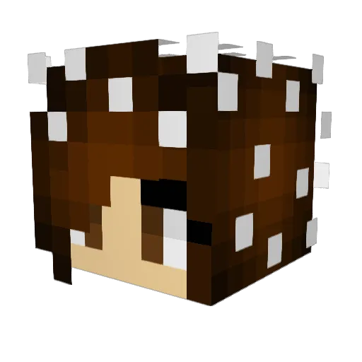 PinkieusPieacus Minecraft avatar head, 3D render