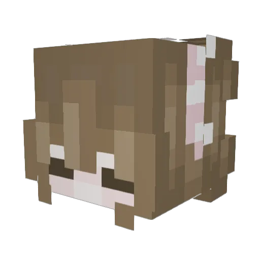 Pinkinhumanform Minecraft avatar head, 3D render