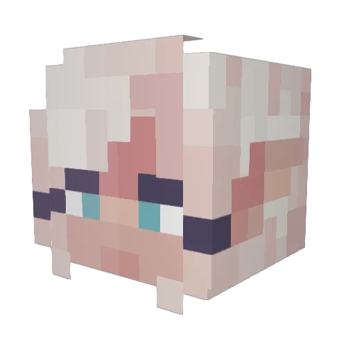 Pinkpuppy898 Minecraft avatar head, 3D render