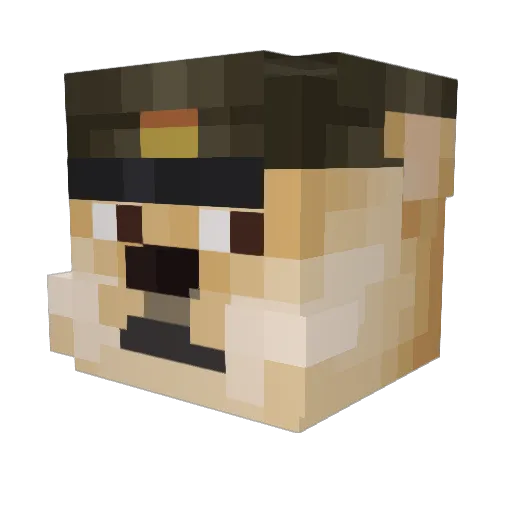 Pinku_no_buta Minecraft avatar head, 3D render