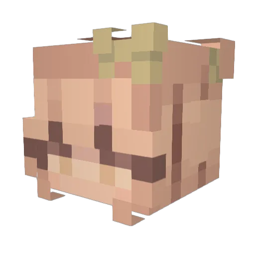 Pinky9806 Minecraft avatar head, 3D render